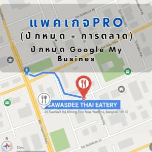 ปักหมุด Google My Business แพคเกจ Pro ปักหมุด-การตลาด